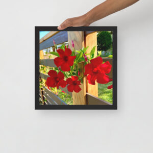 Red Quartet - Framed photo paper poster
