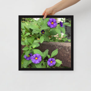 Purple and Rust - Framed photo paper poster