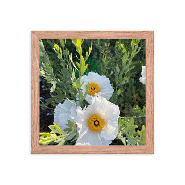 Sunny-Side Up - Framed photo paper poster - Image 5