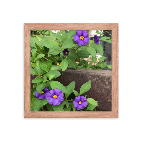 Purple and Rust - Framed photo paper poster - Image 5