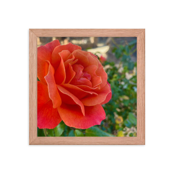 Neighborhood -Framed photo paper poster - Image 5