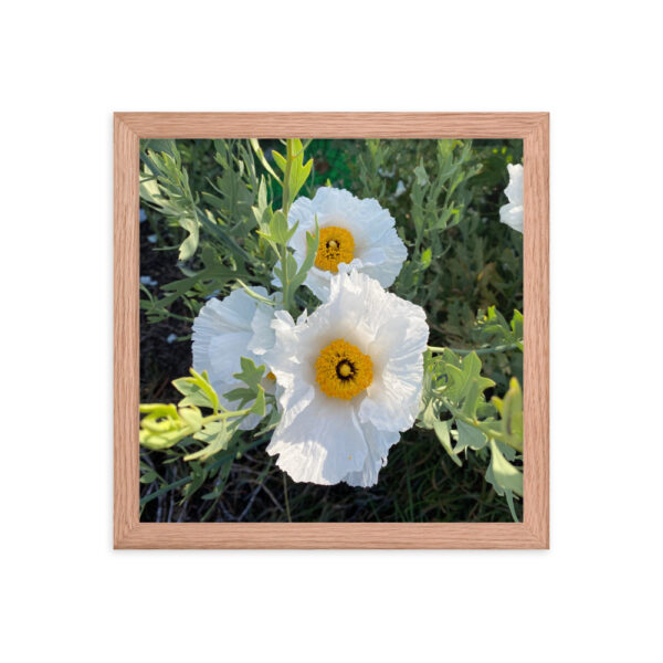 Sunny-Side Up - Framed photo paper poster - Image 6