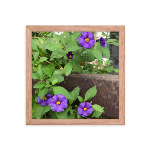 Purple and Rust - Framed photo paper poster - Image 6