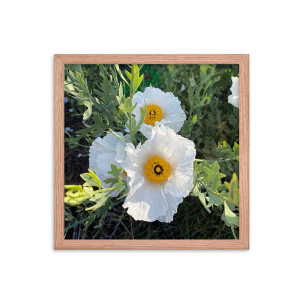 Sunny-Side Up - Framed photo paper poster - Image 7