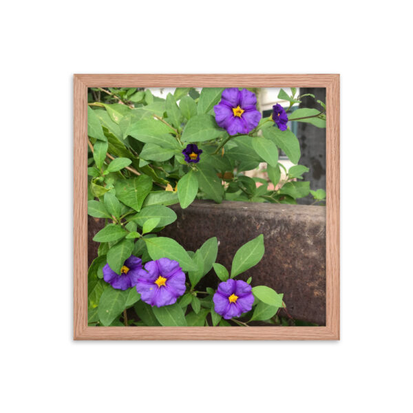 Purple and Rust - Framed photo paper poster - Image 7