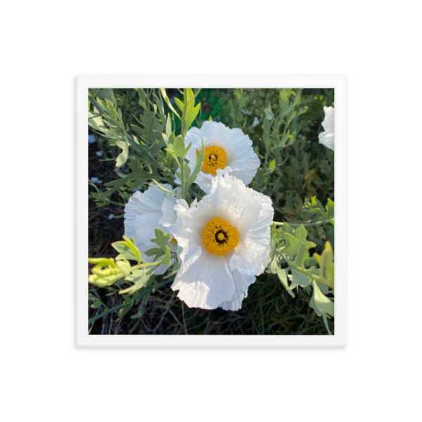 Sunny-Side Up - Framed photo paper poster - Image 11