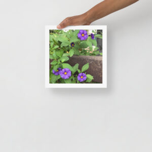 Purple and Rust 4 - Framed photo paper poster