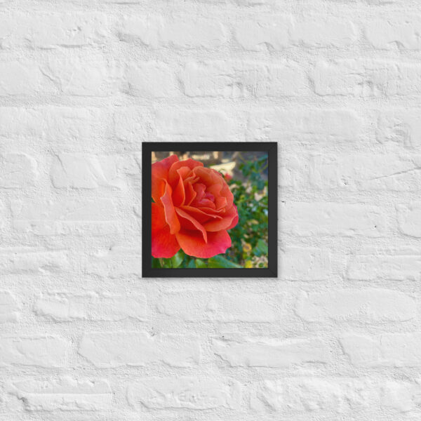 Neighborhood -Framed photo paper poster - Image 12