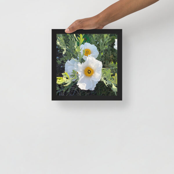 Sunny-Side Up - Framed photo paper poster - Image 10