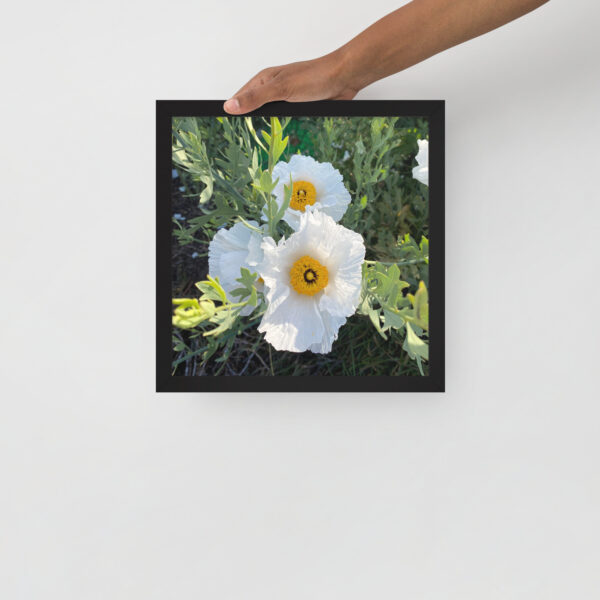Sunny-Side Up - Framed photo paper poster - Image 11
