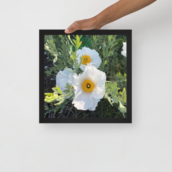 Sunny-Side Up - Framed photo paper poster - Image 12