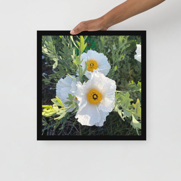 Sunny-Side Up - Framed photo paper poster - Image 9
