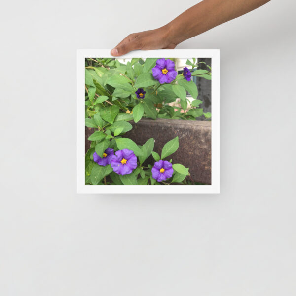 Purple and Rust 4 - Framed photo paper poster - Image 6