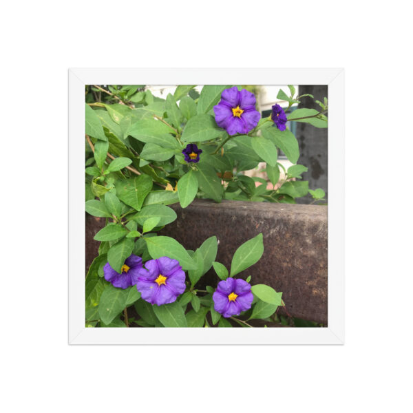 Purple and Rust 4 - Framed photo paper poster - Image 9