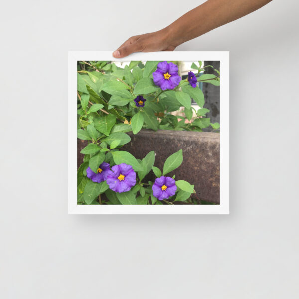 Purple and Rust 4 - Framed photo paper poster - Image 4