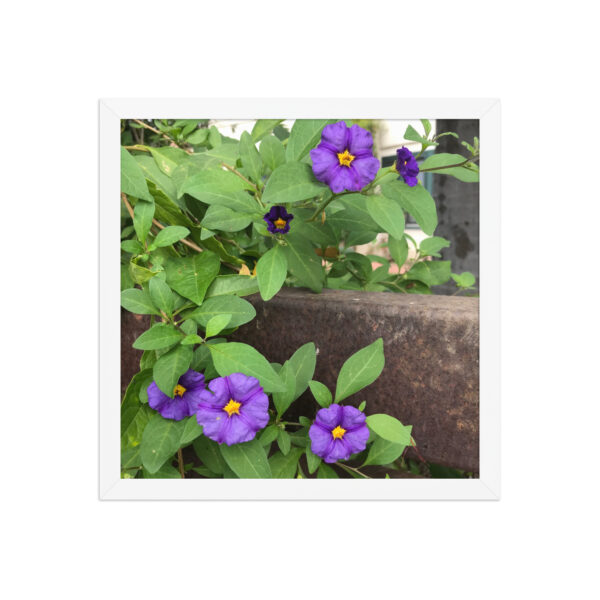 Purple and Rust 4 - Framed photo paper poster - Image 3