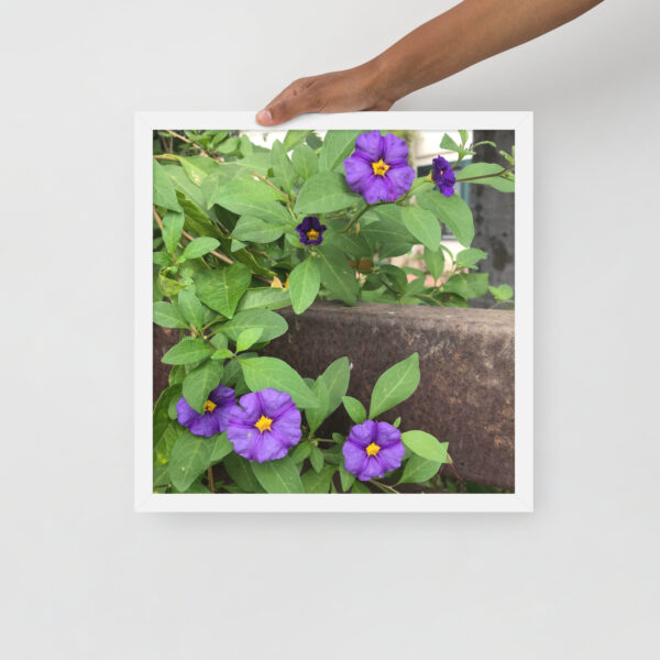 Purple and Rust 4 - Framed photo paper poster - Image 5