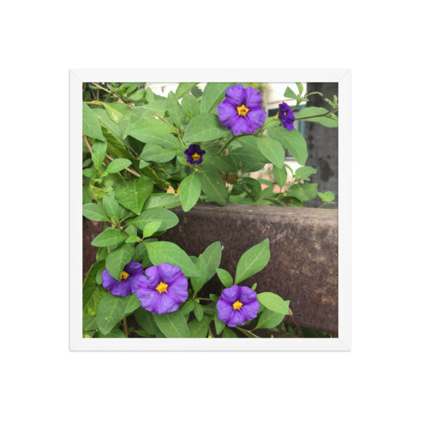 Purple and Rust 4 - Framed photo paper poster - Image 8