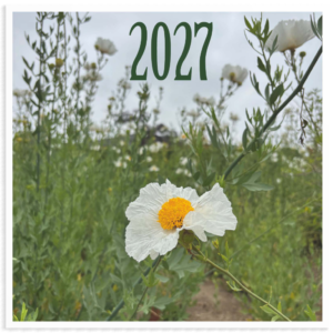 PREORDER: 2027 Fun Holidays and Flower Calendar